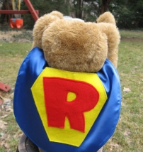 Teddy Super Hero Costume Capes