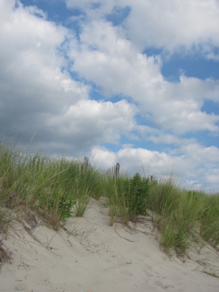 cape may,NJ,beach,cove beach